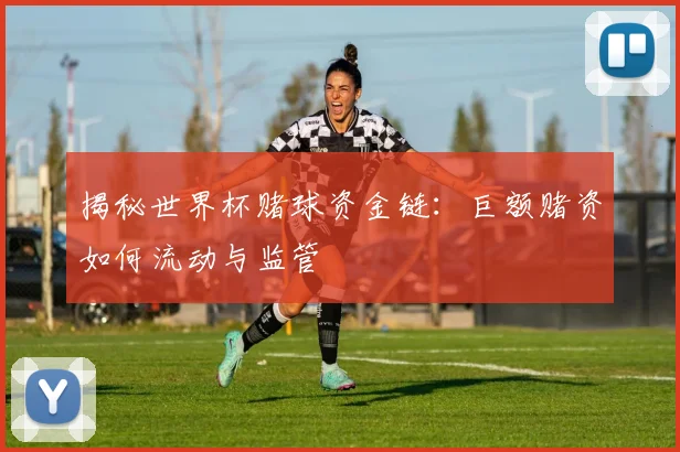 揭秘世界杯赌球资金链:巨额赌资如何流动与监管