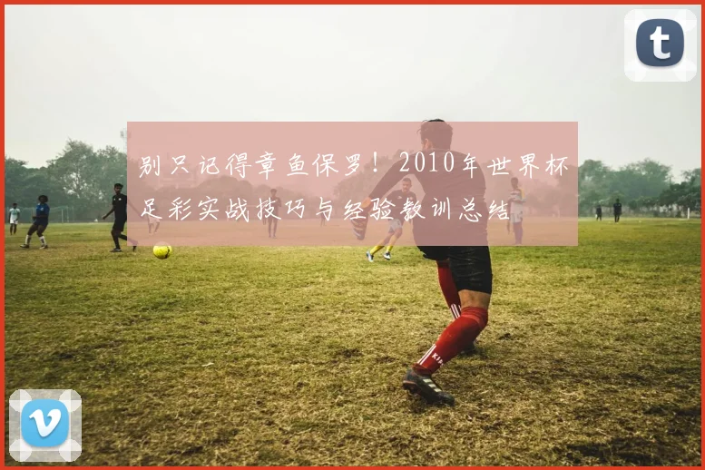 别只记得章鱼保罗!2010年世界杯足彩实战技巧与经验教训总结