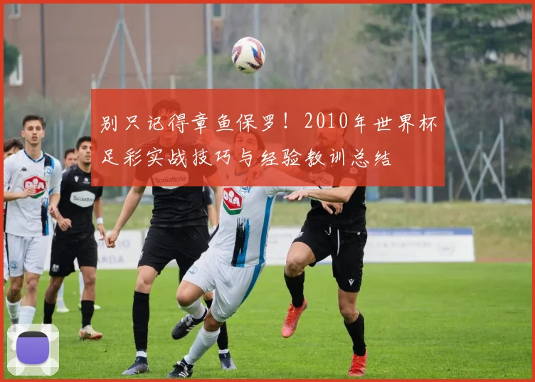 别只记得章鱼保罗!2010年世界杯足彩实战技巧与经验教训总结