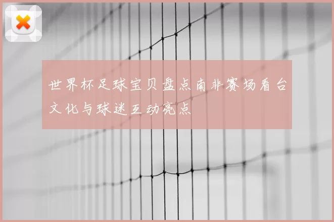 世界杯足球宝贝盘点南非赛场看台文化与球迷互动亮点