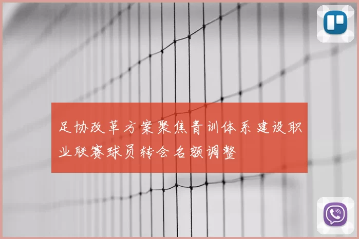 足协改革方案聚焦青训体系建设职业联赛球员转会名额调整