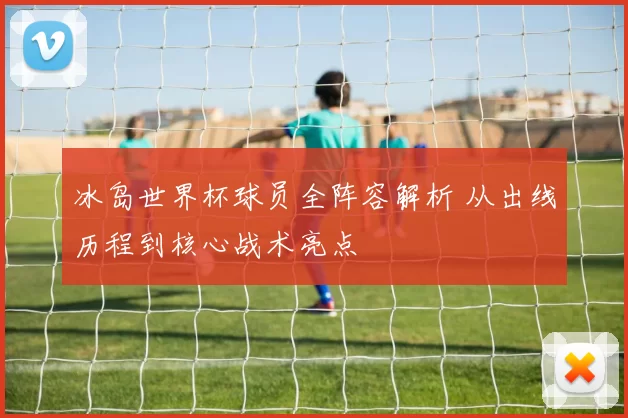 冰岛世界杯球员全阵容解析 从出线历程到核心战术亮点