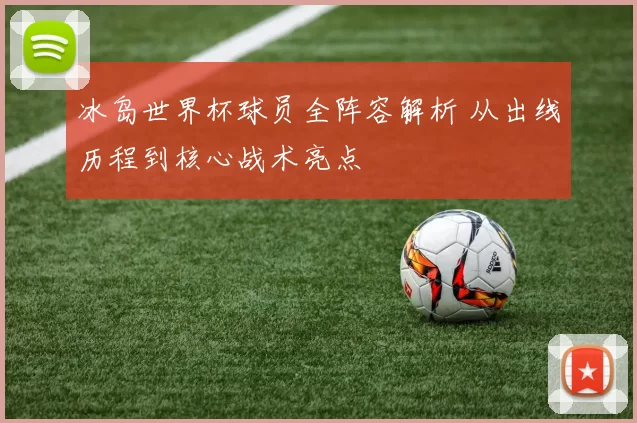 冰岛世界杯球员全阵容解析 从出线历程到核心战术亮点